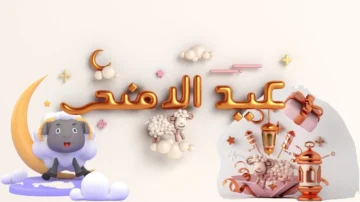 أفضل الأنشطة التي يمكنك القيام بها خلال إجازة عيد الأضحى